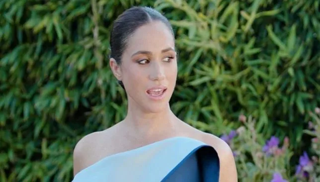 Meghan Markle told to be 'grateful' over potential 'healthy salary increment' | Pro Hub of News