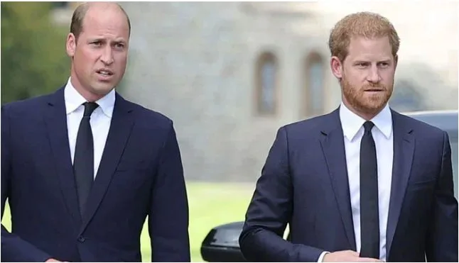 Does Prince William need Prince Harry in THIS difficult time? | Pro Hub of News