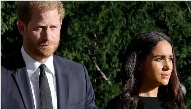 Meghan Markle, Prince Harry worried about future: 'What if money runs out' | Pro Hub of News