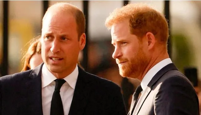 Prince William refused to meet Harry believing he'd leak conversations | Pro Hub of News