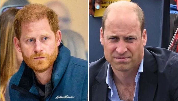 Prince William leaves Prince Harry heartbroken | Pro Hub of News