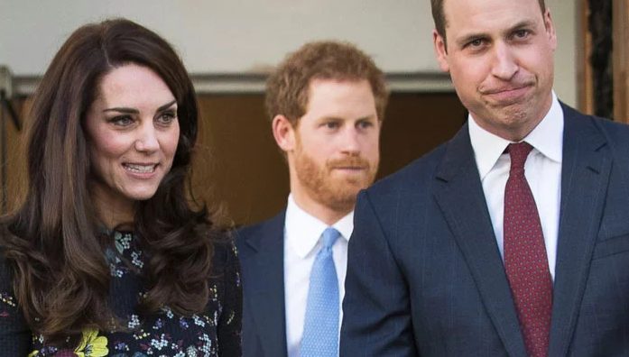 Prince William slams door in Harry's face over attempt to contact Kate Middleton | Pro Hub of News