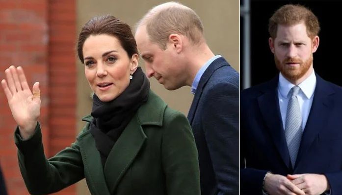 Prince Harry has lost Prince William for good | Pro Hub of News