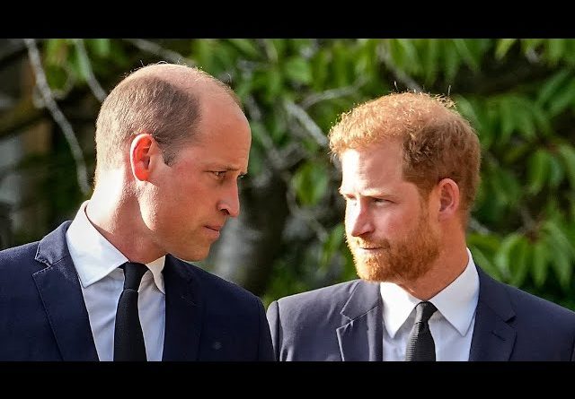 Prince Harry gets glimmer of hope amid reconciling efforts with Prince William | Pro Hub of News